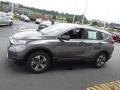 Modern Steel Metallic - CR-V LX AWD Photo No. 6