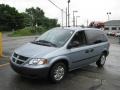 2006 Butane Blue Pearl Dodge Caravan SE  photo #5