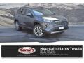 Magnetic Gray Metallic - RAV4 Limited AWD Photo No. 1