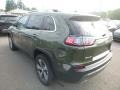 2019 Olive Green Pearl Jeep Cherokee Limited 4x4  photo #3