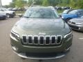 2019 Olive Green Pearl Jeep Cherokee Limited 4x4  photo #8