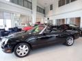 2002 Evening Black Ford Thunderbird Premium Roadster #134189173