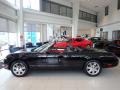 Evening Black - Thunderbird Premium Roadster Photo No. 2
