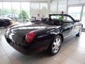 Evening Black - Thunderbird Premium Roadster Photo No. 5