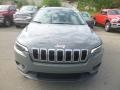 Sting-Gray - Cherokee Latitude Plus 4x4 Photo No. 8