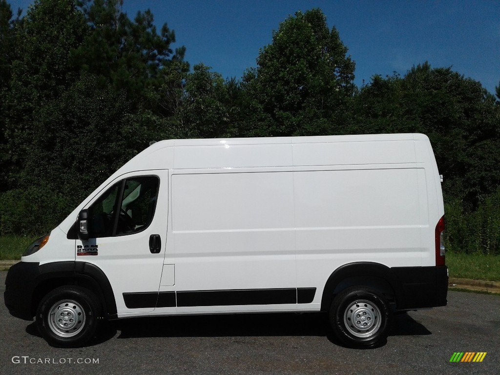Bright White Ram ProMaster