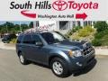 Steel Blue Metallic 2012 Ford Escape XLT