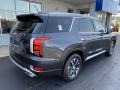 2020 Steel Graphite Hyundai Palisade SEL AWD  photo #4