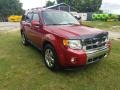 2010 Sangria Red Metallic Ford Escape Limited V6 #134209464