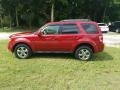 2010 Sangria Red Metallic Ford Escape Limited V6  photo #6
