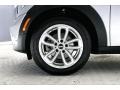 Crystal Silver Metallic - Countryman Cooper Photo No. 8