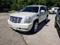White Diamond - Escalade AWD Photo No. 34