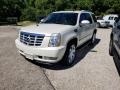 2007 White Diamond Cadillac Escalade AWD  photo #34