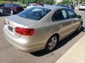 2014 Moonrock Silver Metallic Volkswagen Jetta TDI Sedan  photo #42