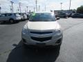 2013 Champagne Silver Metallic Chevrolet Equinox LS  photo #3