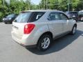 2013 Champagne Silver Metallic Chevrolet Equinox LS  photo #6