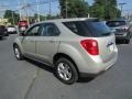2013 Champagne Silver Metallic Chevrolet Equinox LS  photo #8