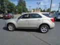 2013 Champagne Silver Metallic Chevrolet Equinox LS  photo #9