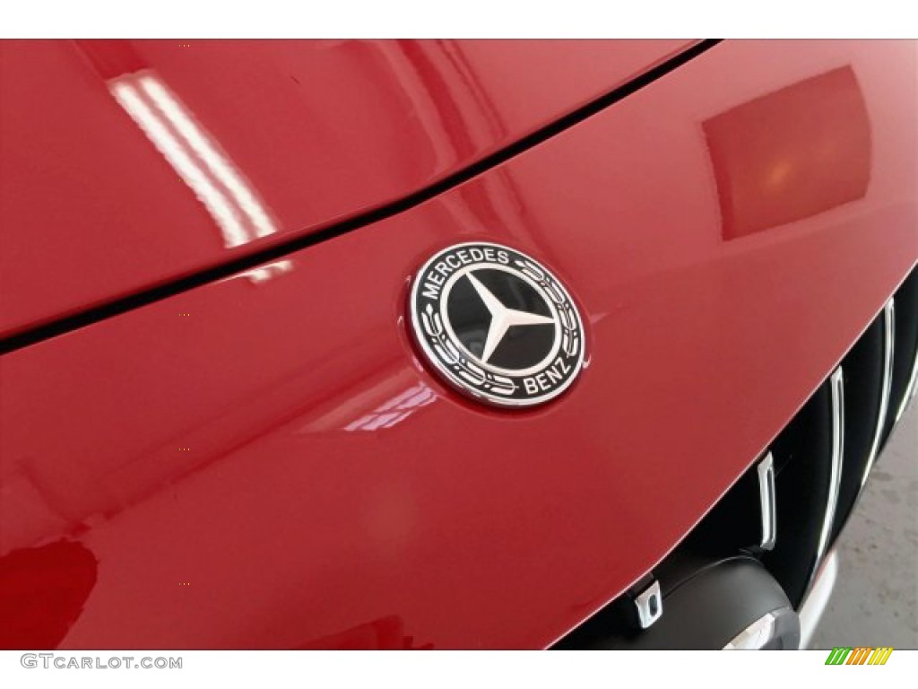 2020 Mercedes-Benz AMG GT Coupe Marks and Logos Photo #134288476