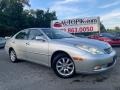 Millennium Silver Metallic 2002 Lexus ES 300