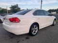 Candy White - Passat 2.5L SE Photo No. 3