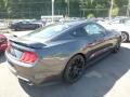 2019 Magnetic Ford Mustang EcoBoost Fastback  photo #2