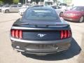 2019 Magnetic Ford Mustang EcoBoost Fastback  photo #6