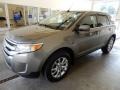 2014 Mineral Gray Ford Edge Limited  photo #10