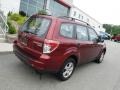 Paprika Red Pearl - Forester 2.5 X Premium Photo No. 10