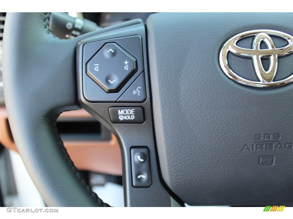2019 Toyota Sequoia Platinum 4x4 Red Rock Steering Wheel Photo #134385316