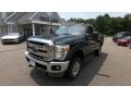 2013 Green Gem Metallic Ford F250 Super Duty XLT Regular Cab 4x4  photo #3