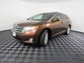 2009 Sunset Bronze Mica Toyota Venza I4  photo #8