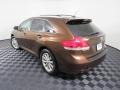 2009 Sunset Bronze Mica Toyota Venza I4  photo #11