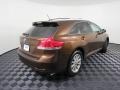 2009 Sunset Bronze Mica Toyota Venza I4  photo #16