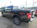 2019 Agate Black Ford F150 Lariat SuperCrew 4x4  photo #4