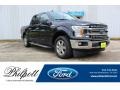 Shadow Black - F150 XLT SuperCrew Photo No. 1