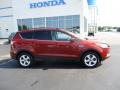 Ruby Red Metallic - Escape SE 4WD Photo No. 2