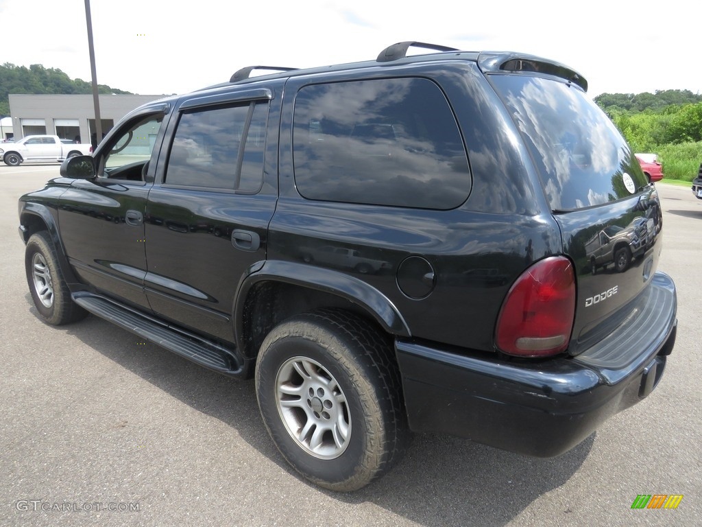 2003 Durango SLT 4x4 - Black / Dark Slate Gray photo #9