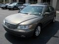 2006 Sage Green Metallic Hyundai Azera Limited  photo #1