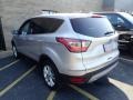 Ingot Silver - Escape SE 4WD Photo No. 2