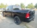 Diamond Black Crystal Pearl - 1500 Classic Express Crew Cab 4x4 Photo No. 3