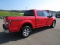 2019 Race Red Ford F150 XLT SuperCrew 4x4  photo #13