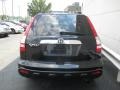 2009 Crystal Black Pearl Honda CR-V EX-L 4WD  photo #4