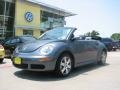 Platinum Grey - New Beetle 2.5 Convertible Photo No. 1