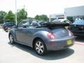 Platinum Grey - New Beetle 2.5 Convertible Photo No. 3