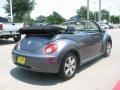 Platinum Grey - New Beetle 2.5 Convertible Photo No. 5