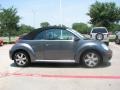Platinum Grey - New Beetle 2.5 Convertible Photo No. 6