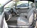 Platinum Grey - New Beetle 2.5 Convertible Photo No. 9