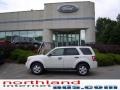 2009 White Suede Ford Escape XLT 4WD  photo #1
