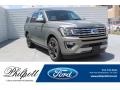 2019 Silver Spruce Metallic Ford Expedition Limited #134486641